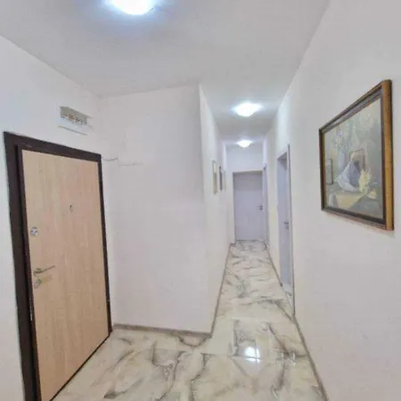 москва * 多布里奇